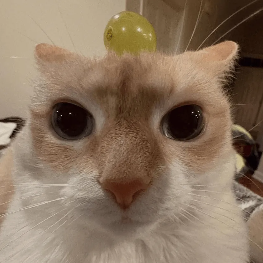 LUA